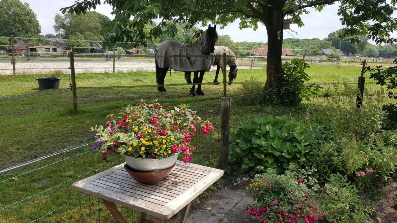 Vakantiehuis "Aan De Zandweg" Roderesch Exteriér fotografie