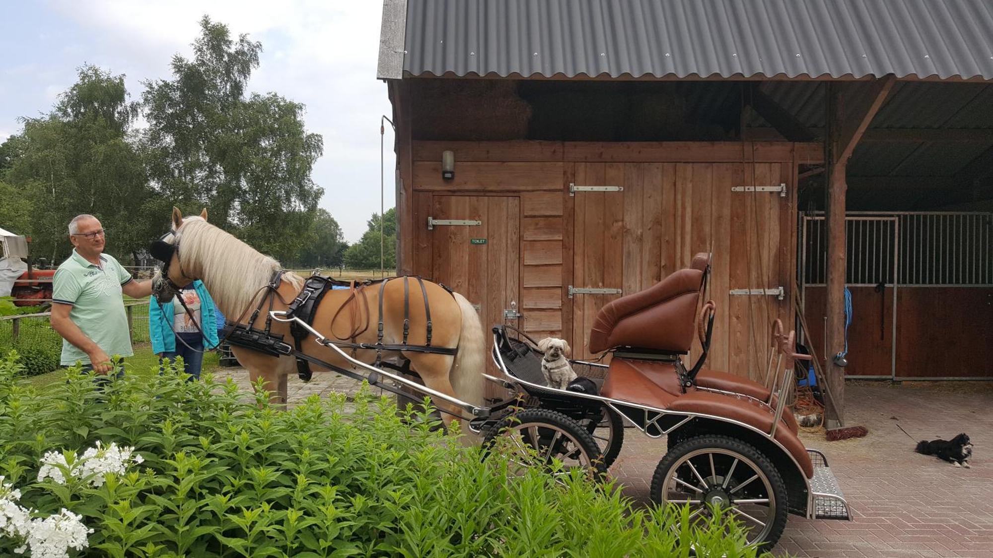 Vakantiehuis "Aan De Zandweg" Roderesch Exteriér fotografie