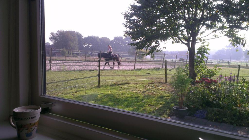 Vakantiehuis "Aan De Zandweg" Roderesch Pokoj fotografie